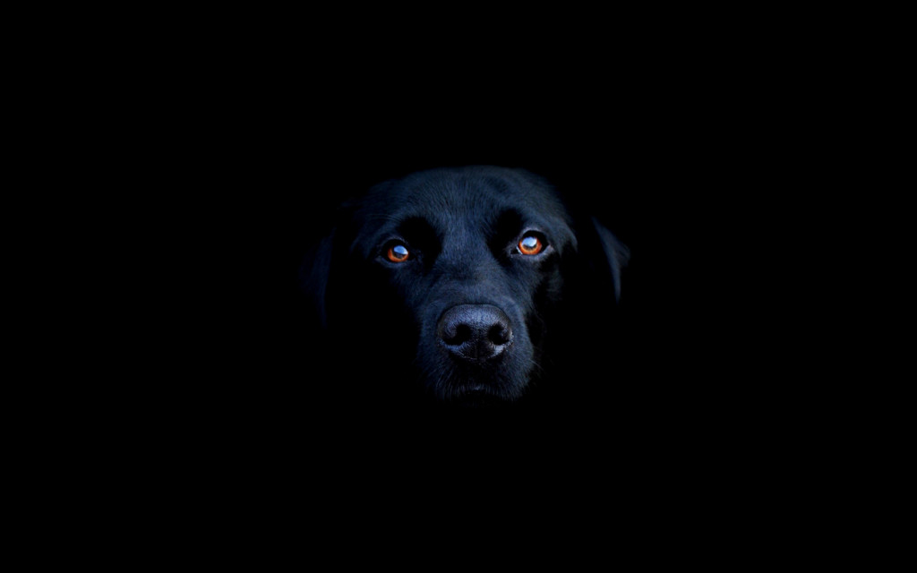 Black Wallpaper HD 03 Widescreen