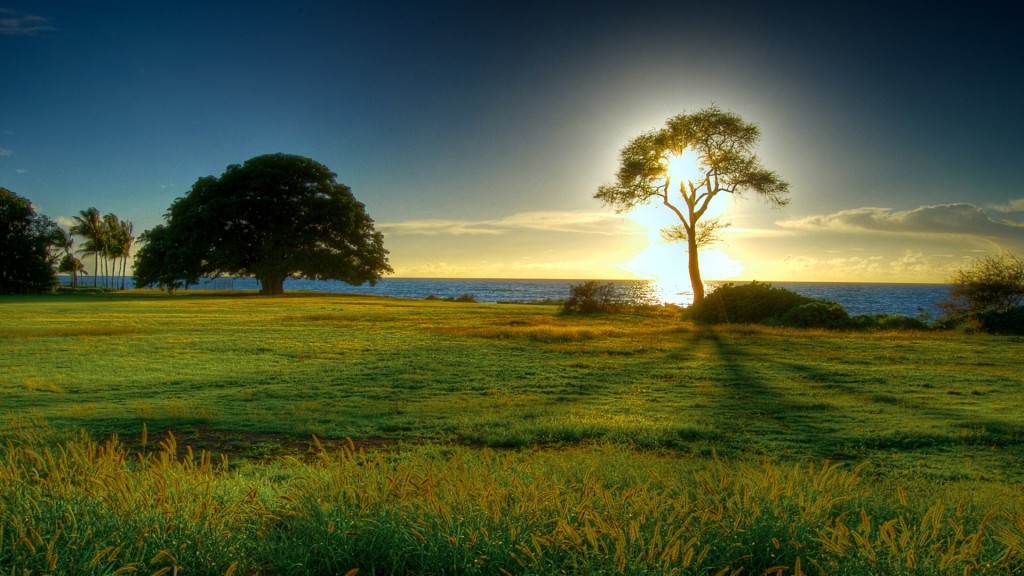 HD Wallpaper 1080p