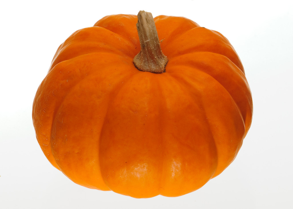 Pumpkin Wallpaper HD