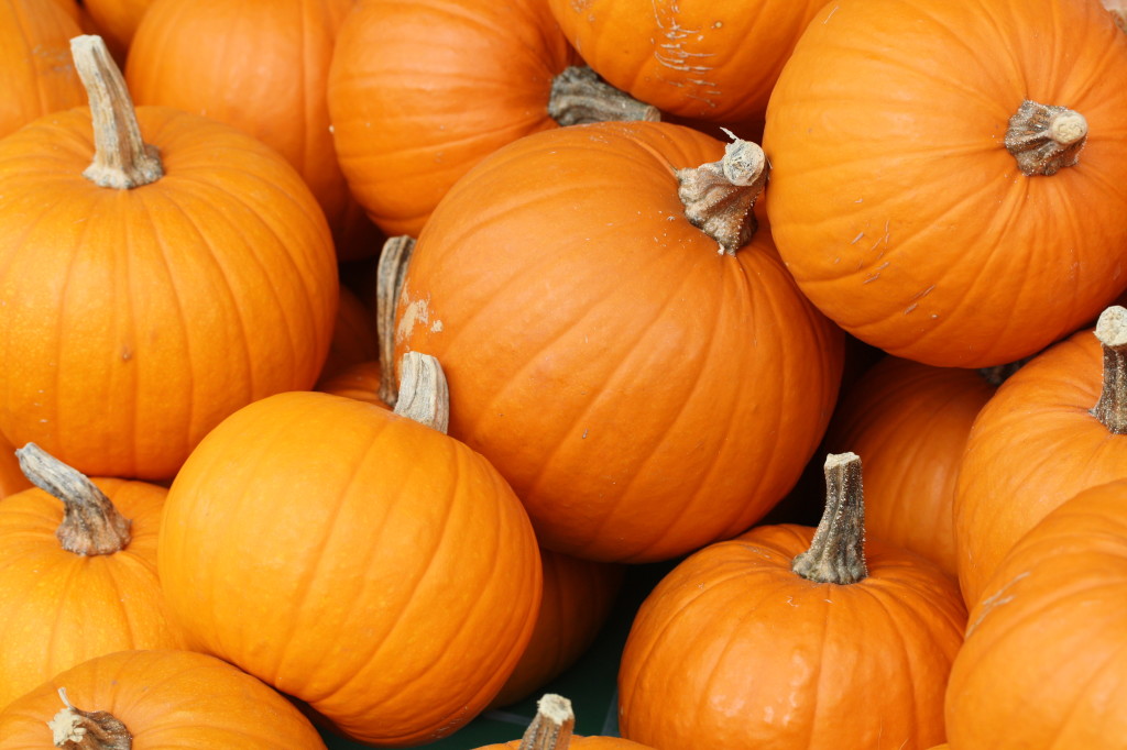 Pumpkins For halloween