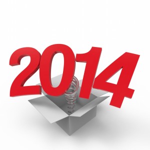 New Year 2014 Pictures