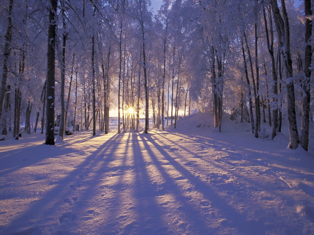 Winter Solstice Wallpaper
